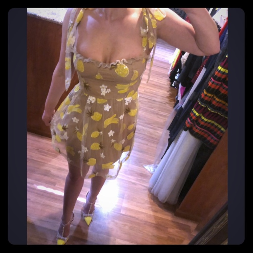 Sequin Fruit Sun Dress